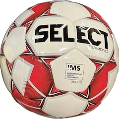 SELECT SOCCER BALL SIZE 5