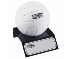 MINI AUTOGRAPH VOLLEYBALL WITH STAND